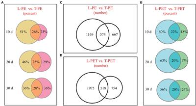 Comparative Analysis of Selective Bacterial Colonization by Polyethylene and Polyethylene Terephthalate Microplastics